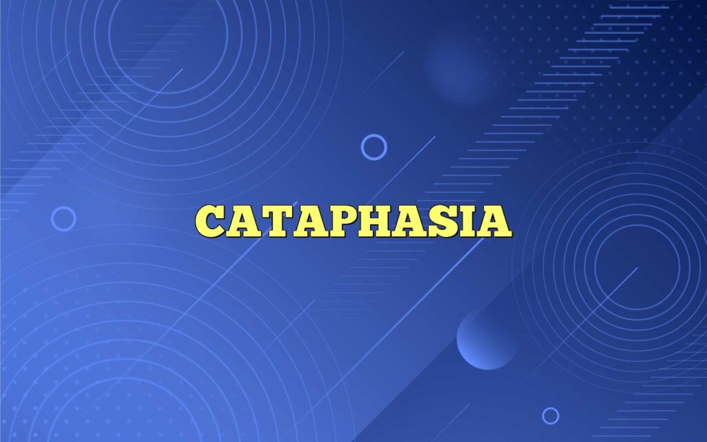 CATAPHASIA Definition & Meaning