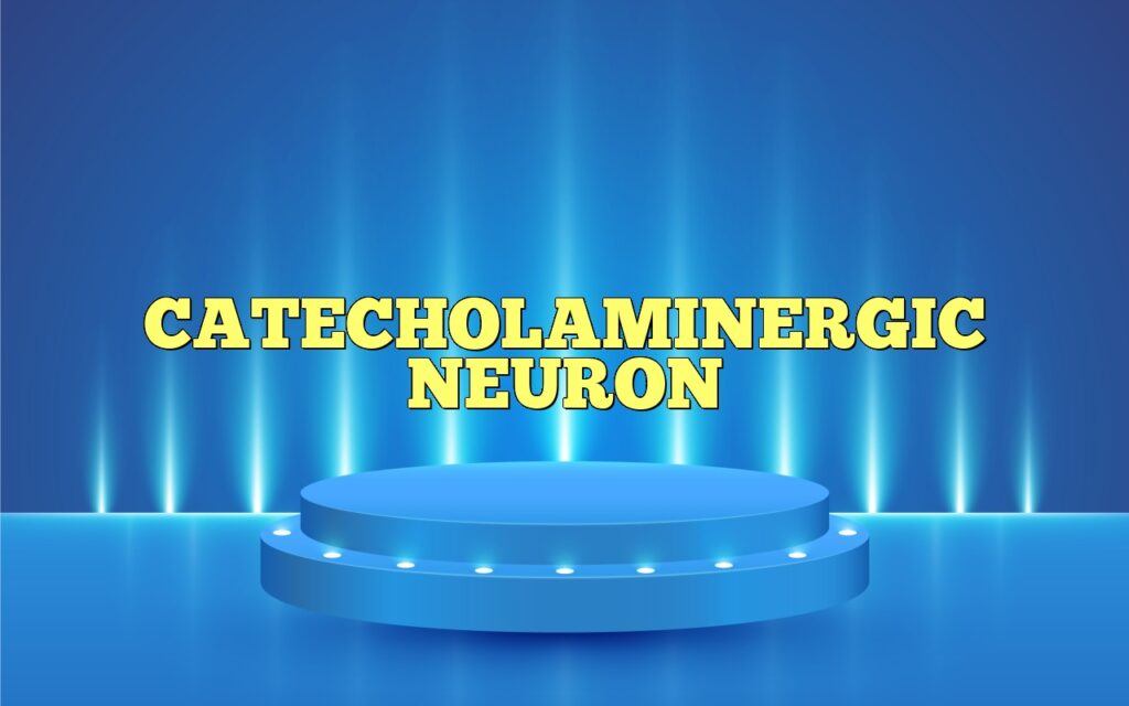 catecholaminergic neuron