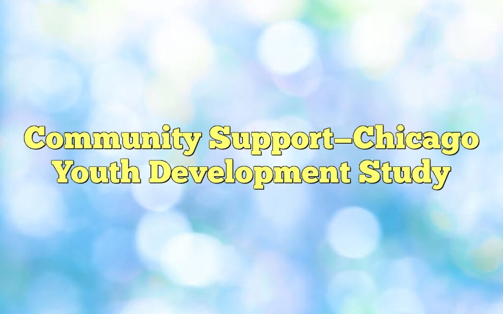 community supportchicago youth development study4