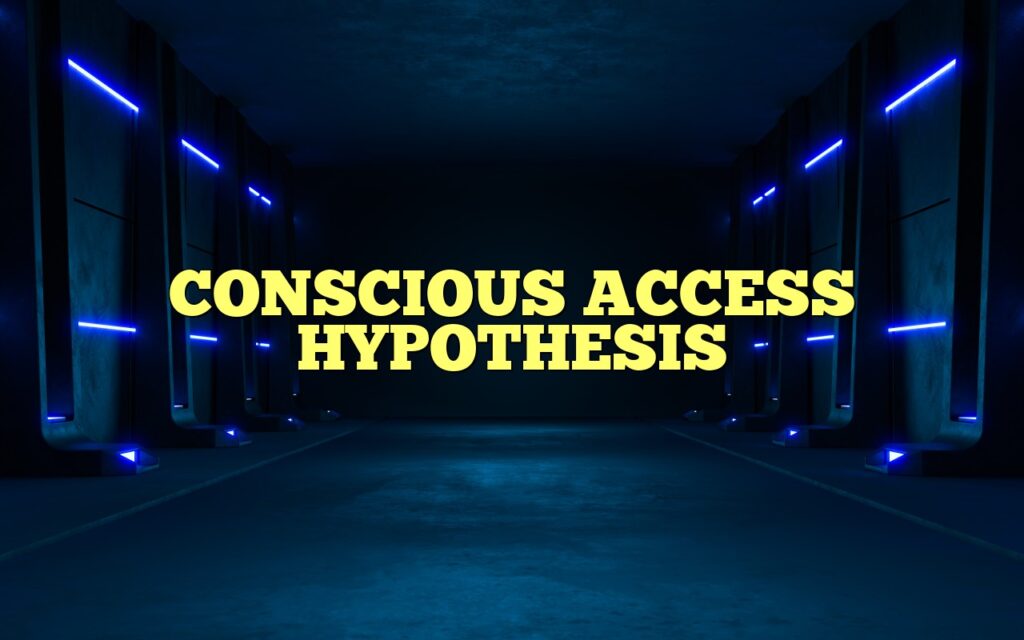 conscious access hypothesis