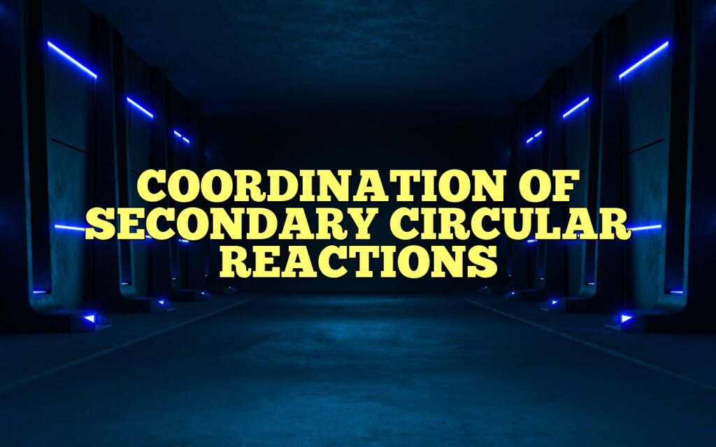 coordination of secondary circular reactions