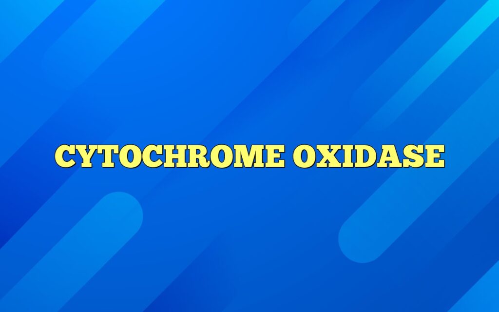 cytochrome oxidase