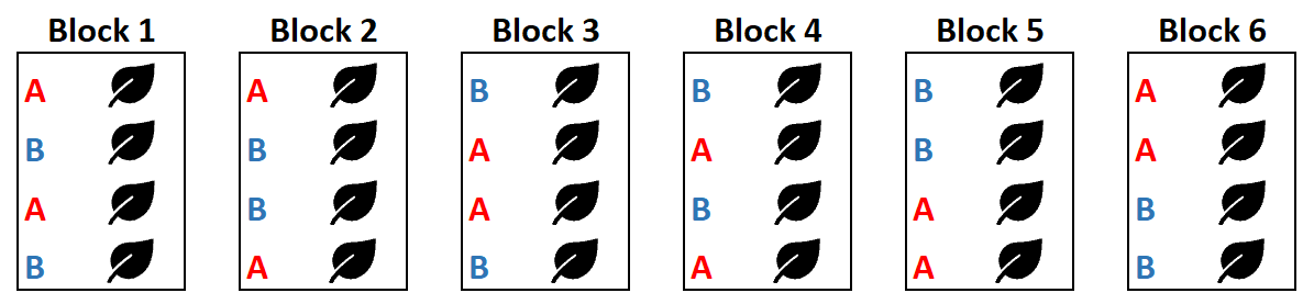 Permuted block randomization