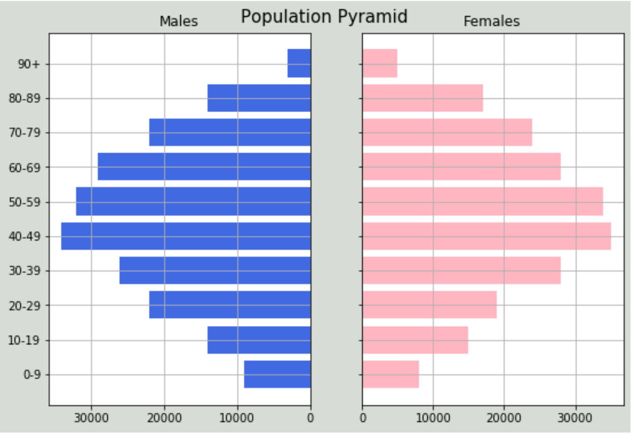 Population pyramid in Python