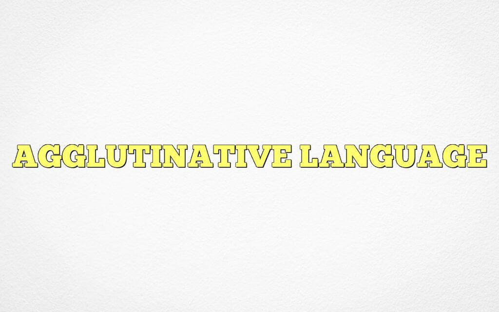 AGGLUTINATIVE LANGUAGE