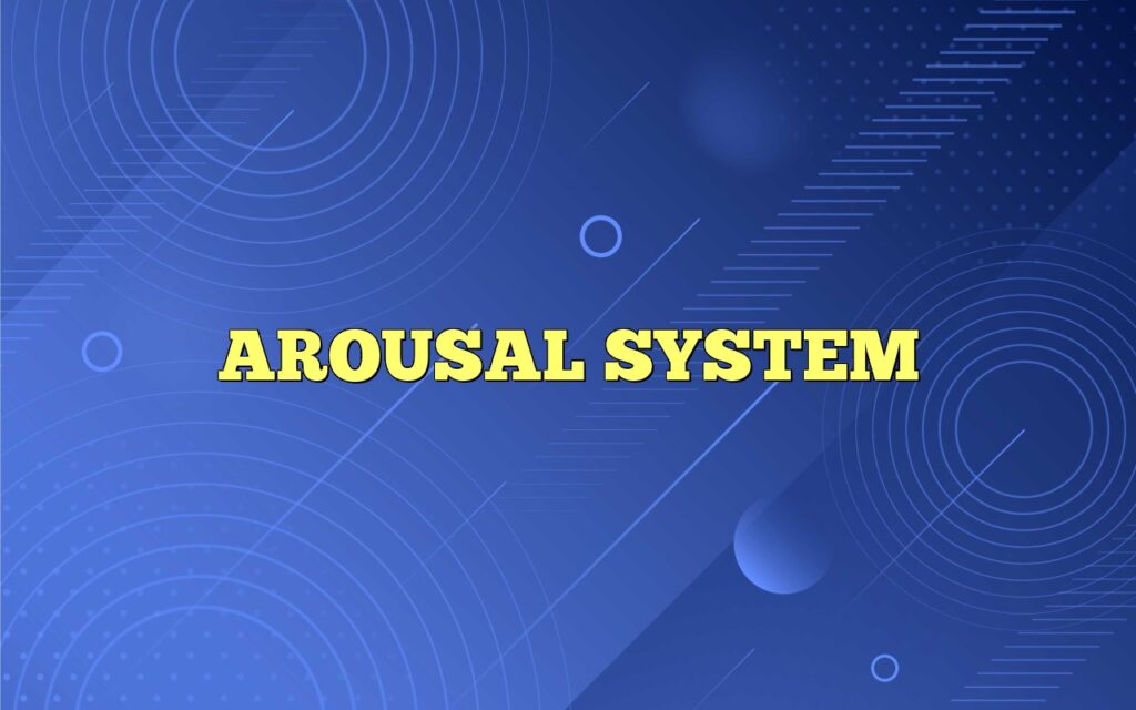 AROUSAL SYSTEM