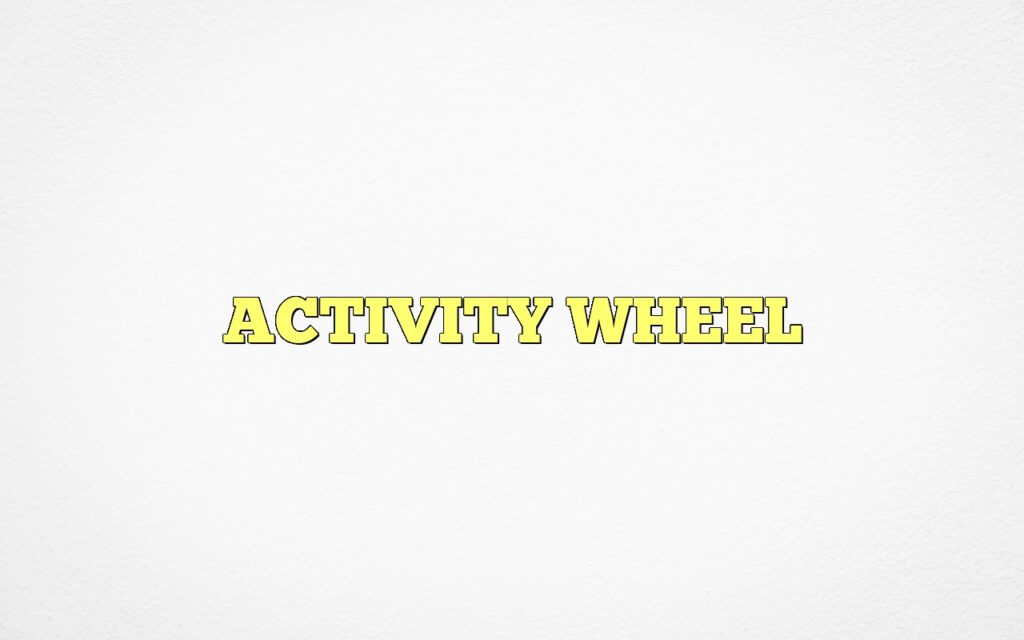 ACTIVITY WHEEL