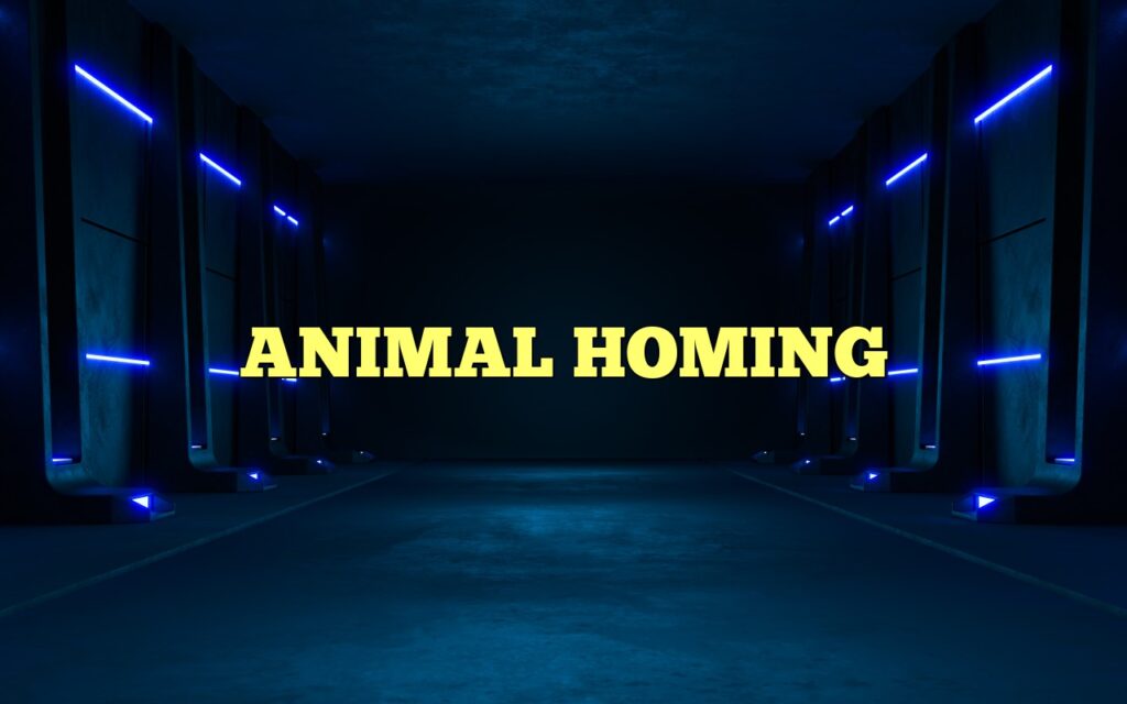 ANIMAL HOMING