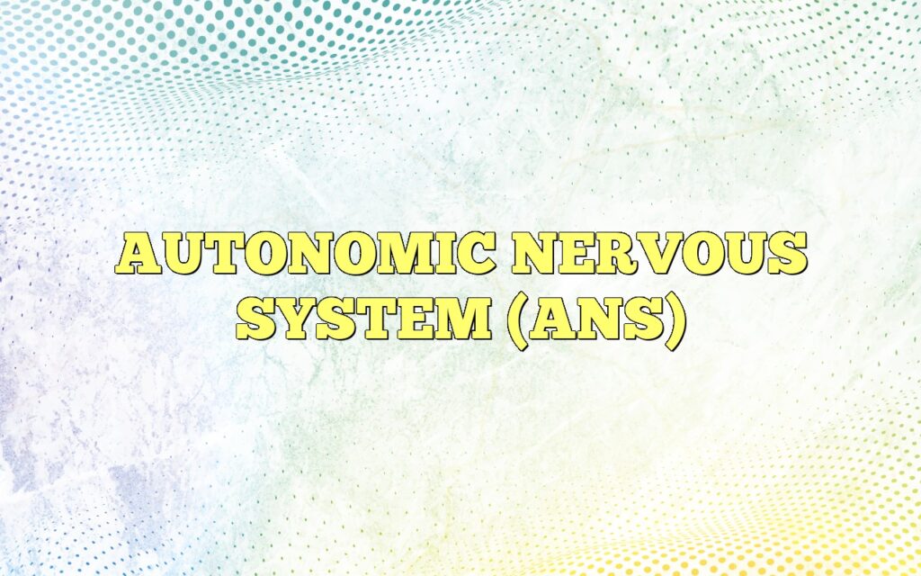 AUTONOMIC NERVOUS SYSTEM (ANS)