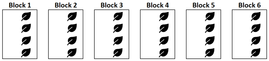 What is the definition of Permuted Block Randomization and can you provide examples? 2