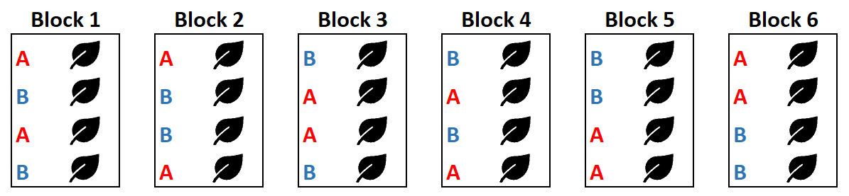 permutedblock2 Permuted block randomization