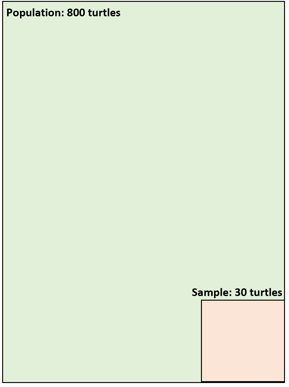 pop_vs_sample2-3 Difference between population and sample