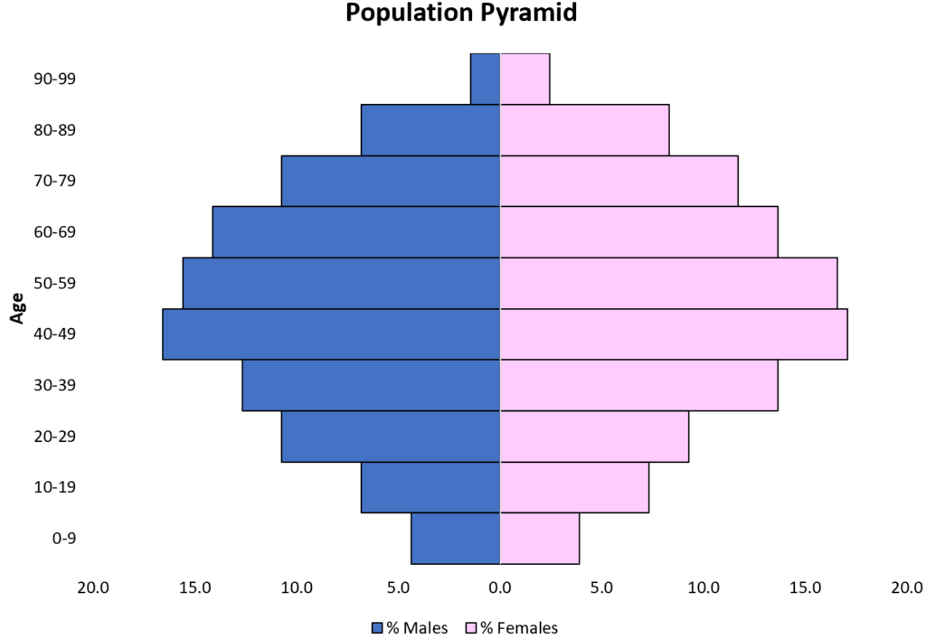 How Do I Create A Population Pyramid In Excel?