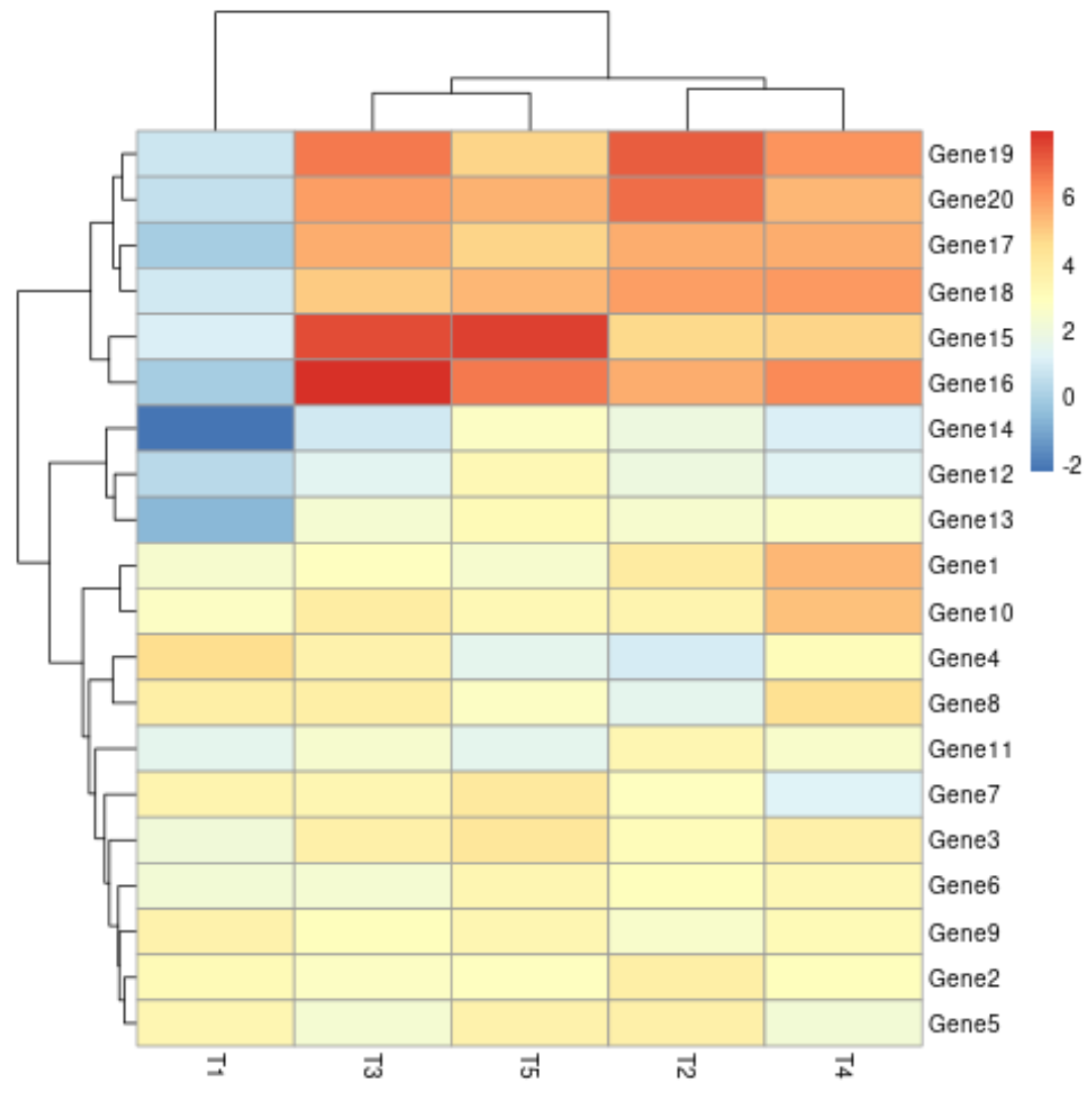pheat1 pheatmap example in R