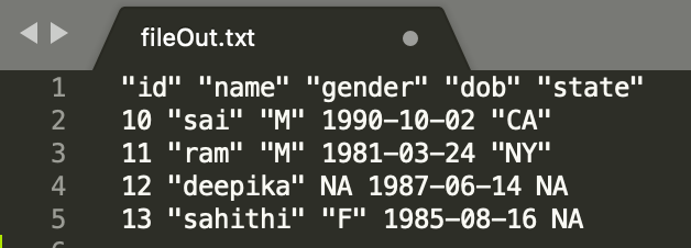r write text file