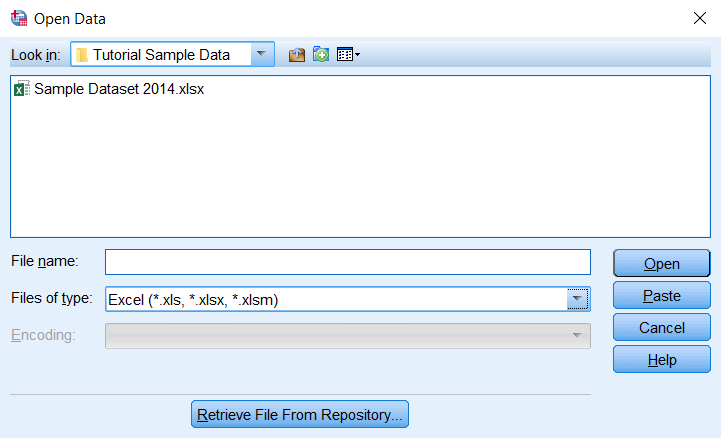 spss_import-data_open-data-excel_window_v25