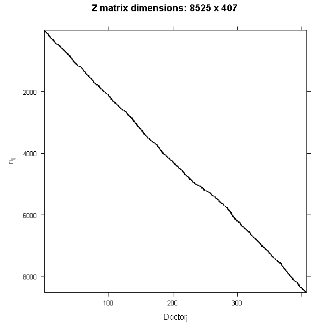 Pictorial representation of the sparse matrix Z