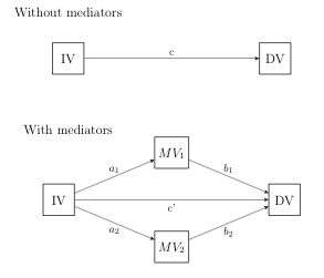 Image mediation-1