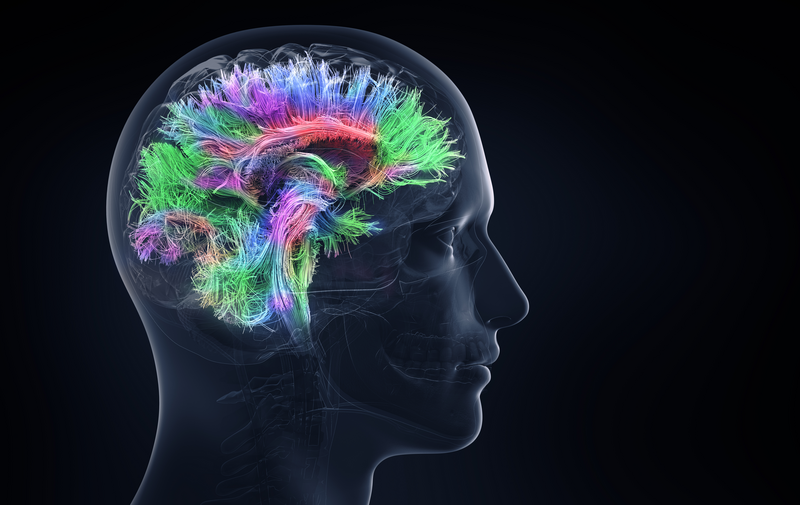 Frontiers in Psychiatry